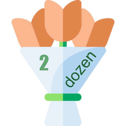 Dozen Tulips Bouquet