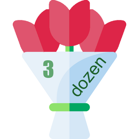 Dozen Tulips Bouquet