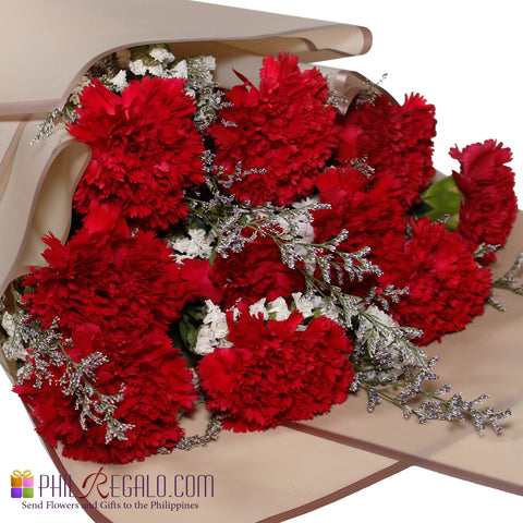 Red Carnation Bouquet