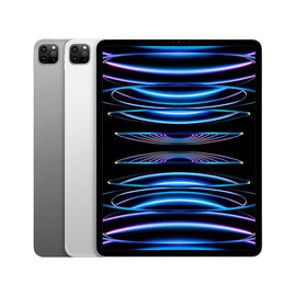 12.9-inch iPad Pro (2022 M2 Chip)