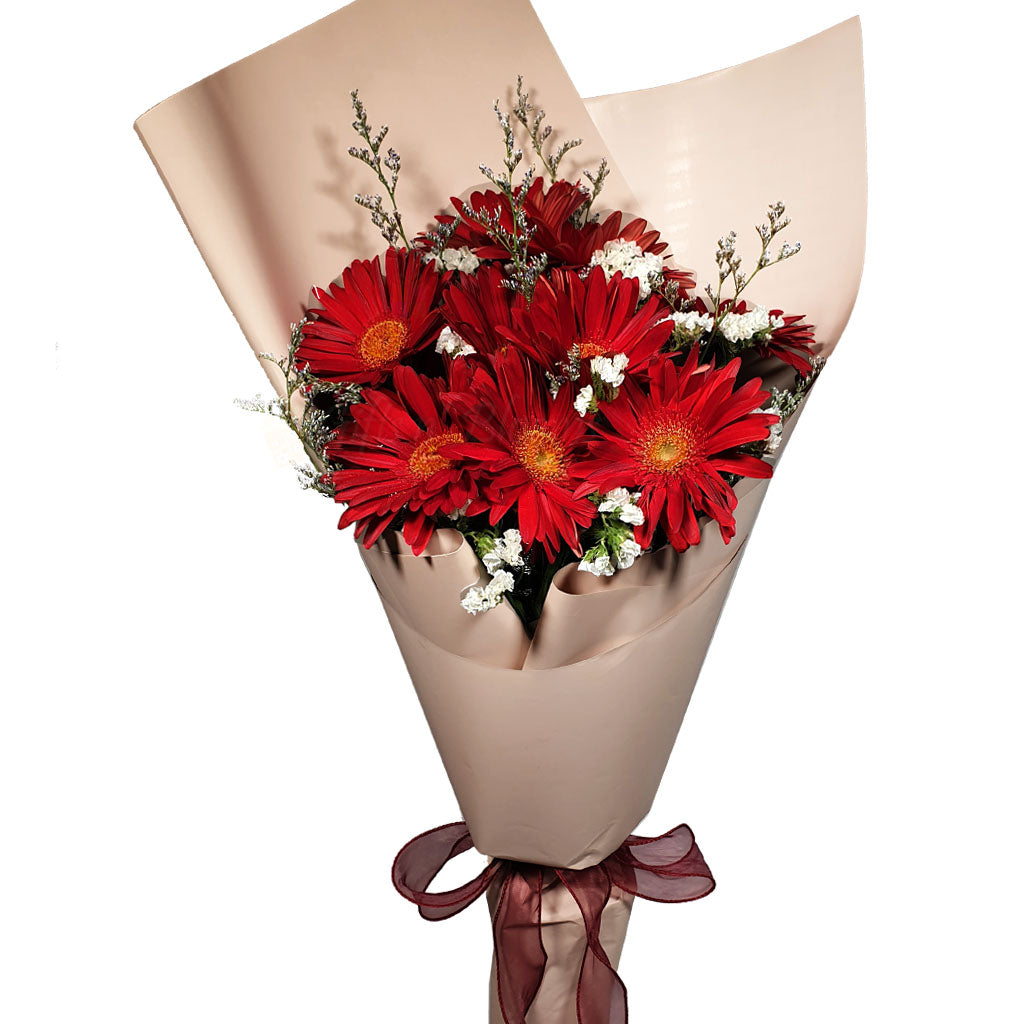 Red Gerbera Bouquet