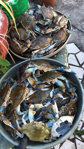 Blue Crab 2Kg