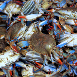 Blue Crab 2Kg