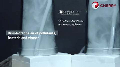 Cherry ion Personal Air Purifier White Rose Gold