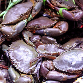 Crabs (Alimango) 2Kg