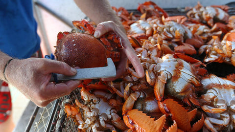 Curacha /Spanner Crab 2Kg