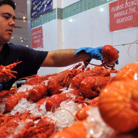 Fresh Lobsters 3pcs in a kilo