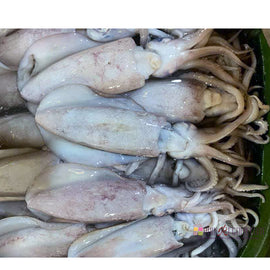 Squids Special (For Inihaw/Grilling) 2Kg