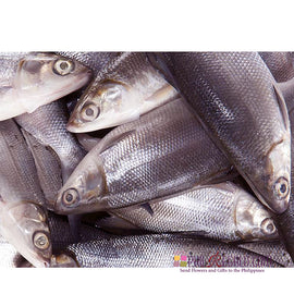 Fresh Bangus Special Milk Fish 2 Kg