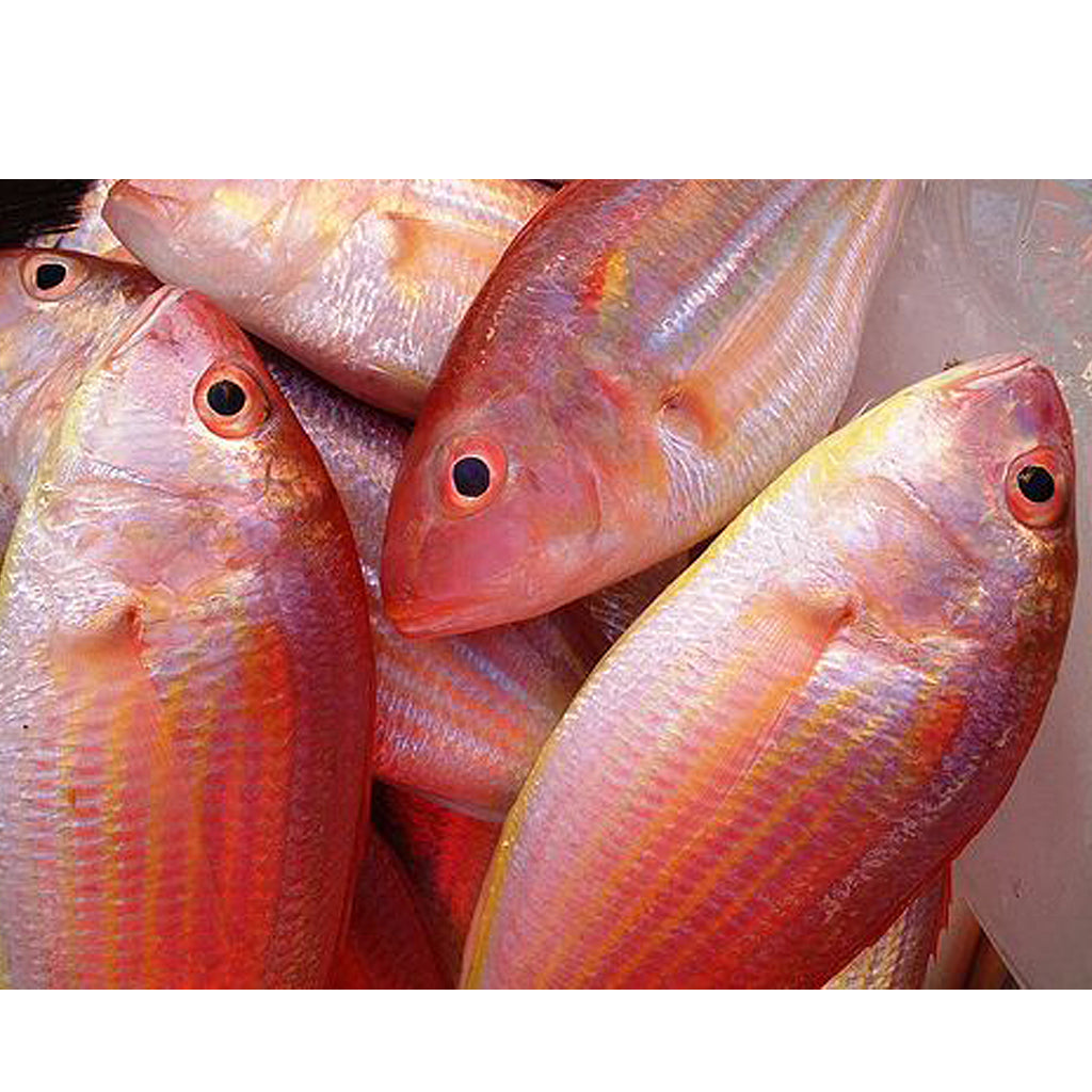 Besugo Fish Special 2Kg