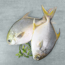 Pompano 2Kg