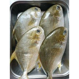 Pompano 2Kg