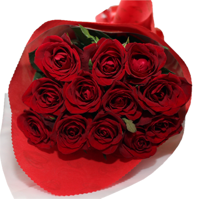 Red Rose Bundle