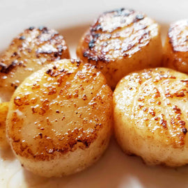 Scallops with Shell 2Kg