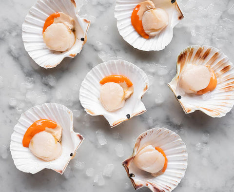 Scallops with Shell 2Kg
