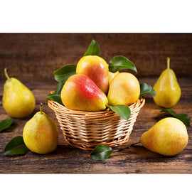 Basket of Pears