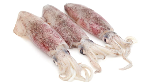 Squid Adobo (For Adobo))  2Kg
