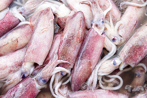Squid Adobo (For Adobo))  2Kg