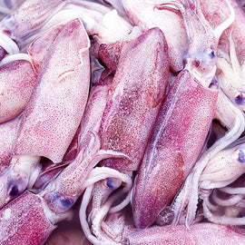 Squid Adobo (For Adobo)) 2Kg