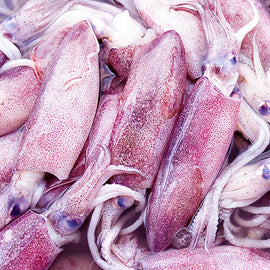 Squid Adobo (For Adobo))  2Kg