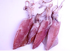 Squid Adobo (For Adobo))  2Kg