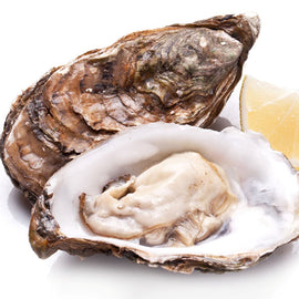 Talaba /Oyster with Shell 2Kg