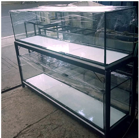 De-Luxe 6 feet aquarium with setup and fishes