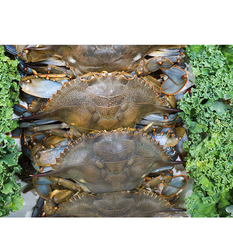 Crabs (Alimango) 2Kg