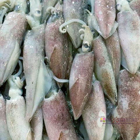 Squids Special (For Inihaw/Grilling)  2Kg