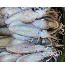 Squids Special (For Inihaw/Grilling)  2Kg
