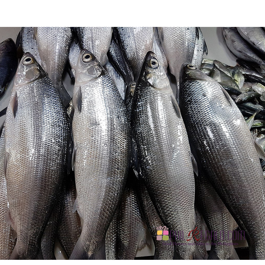 Fresh Bangus Special Milk Fish 2 Kg – PhilRegalo Ent. | PhilRegalo.com ...