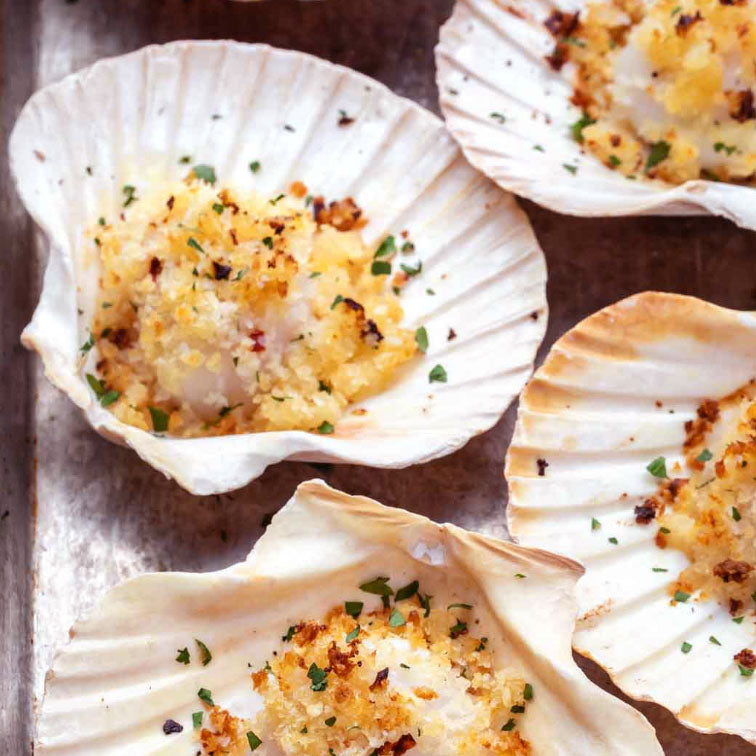 Scallops with Shell 2Kg