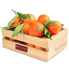 Orange Orange Fruit Basket